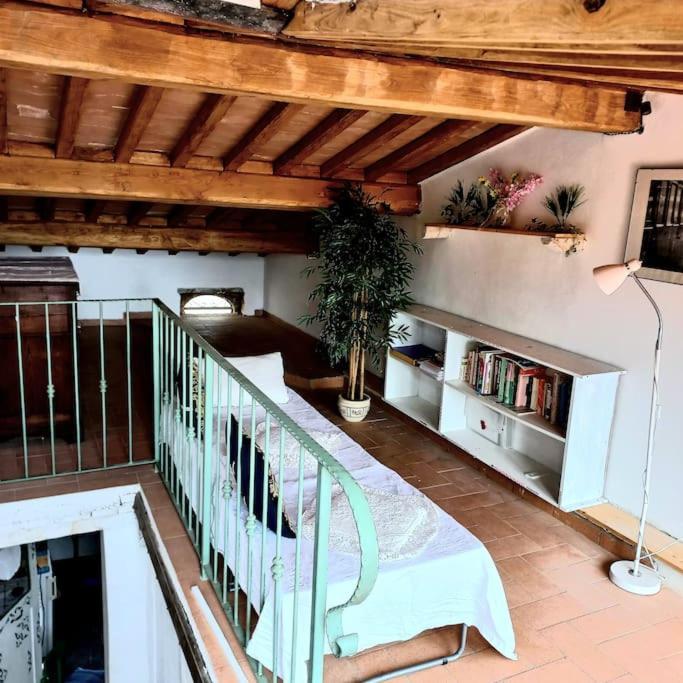 La Casa Del Gallo Radicondoli Exterior foto
